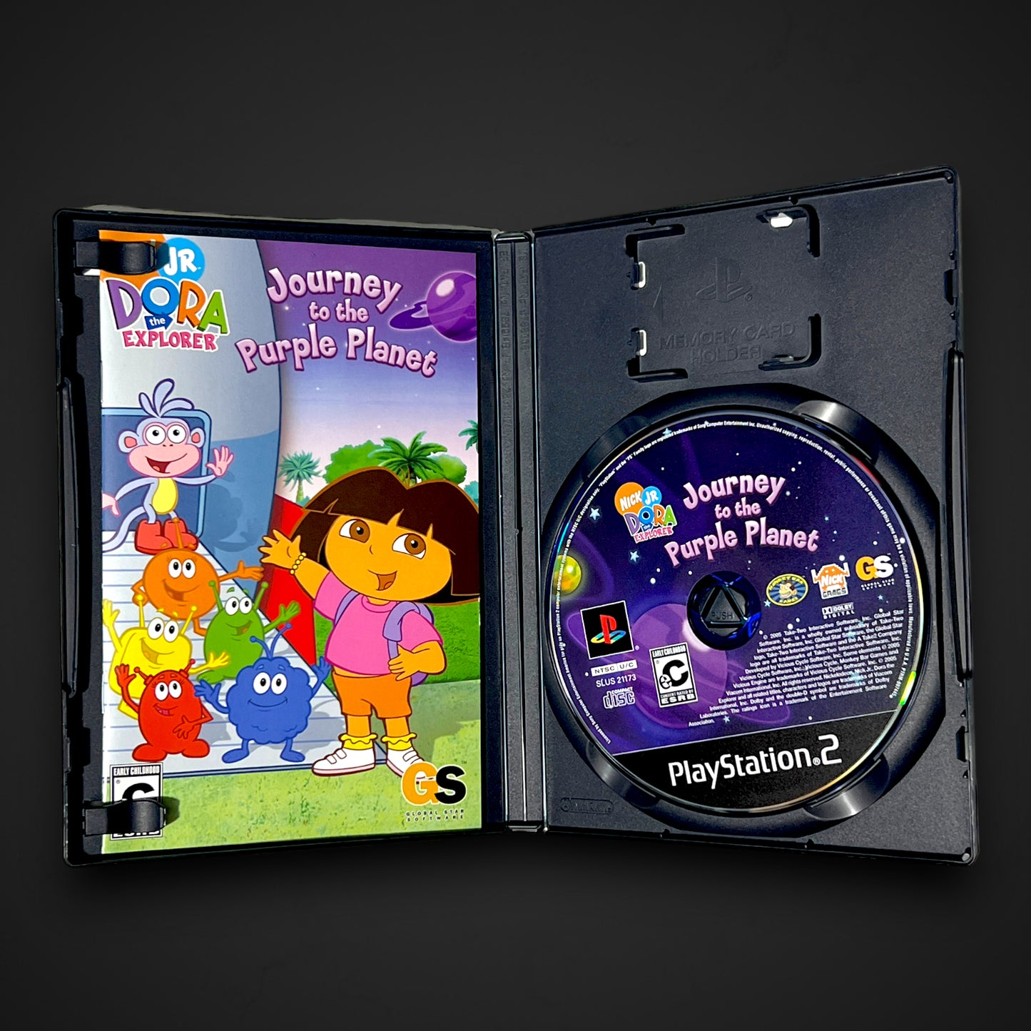Dora the Explorer: Journey to the Purple Planet