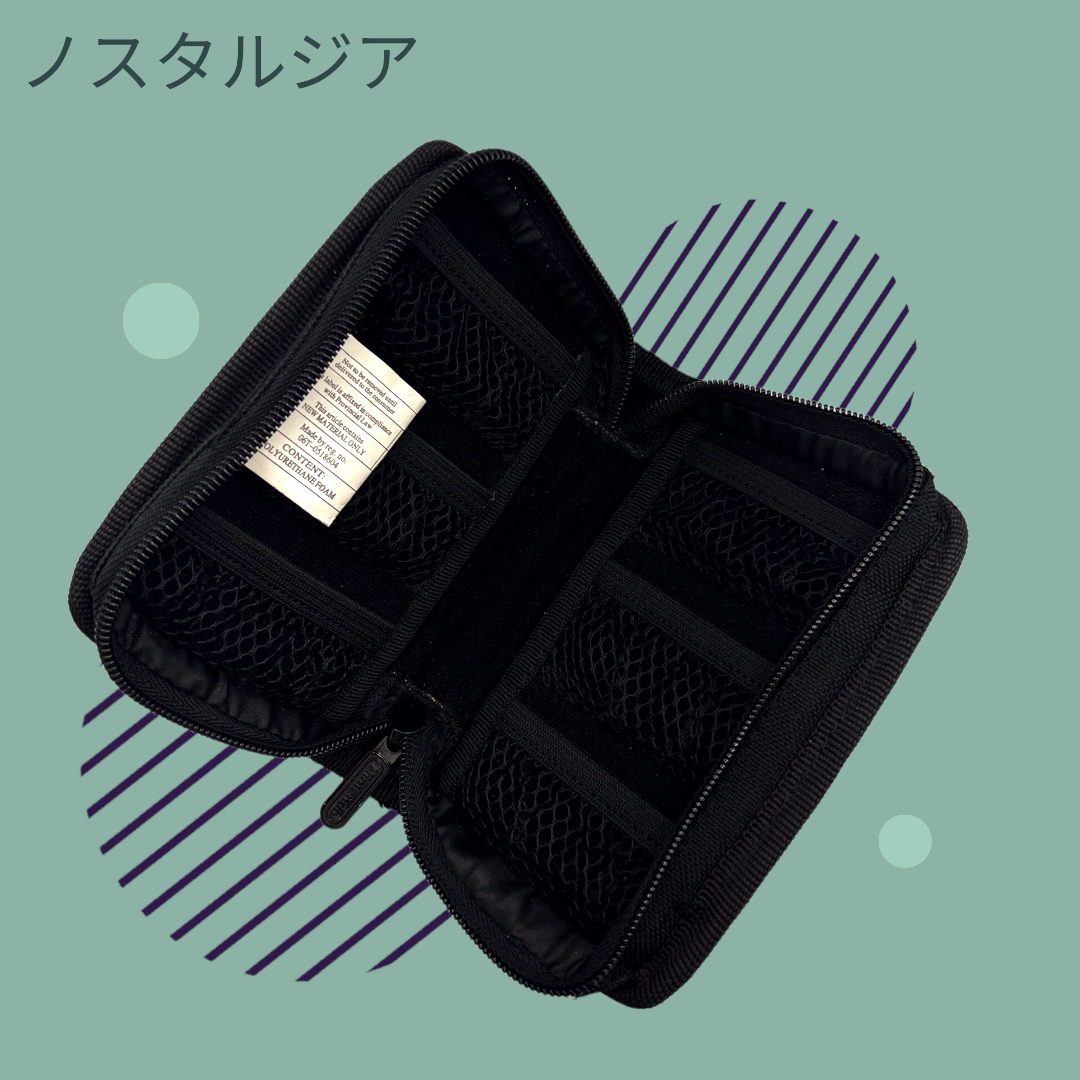 Nintendo DS Zip Up Travel Bag (Switch N Carry, 2005)