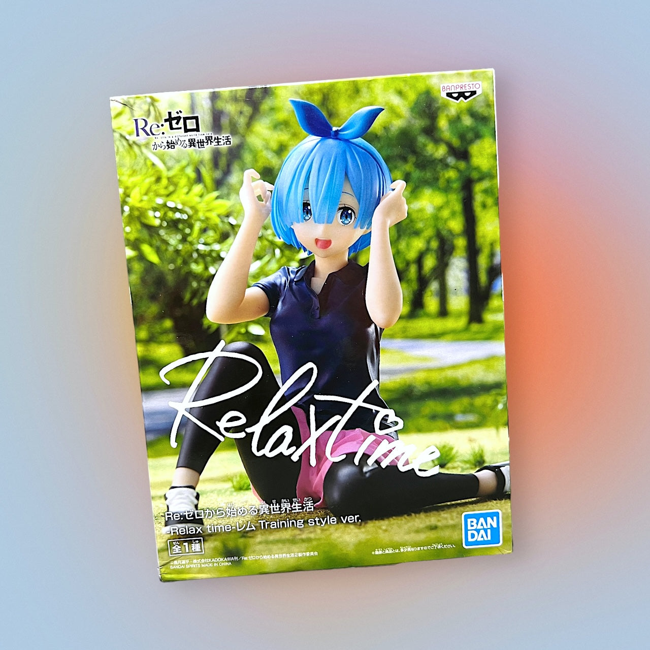 Re:Zero Starting Life in Another World Relax Time Rem (Training Ver.)