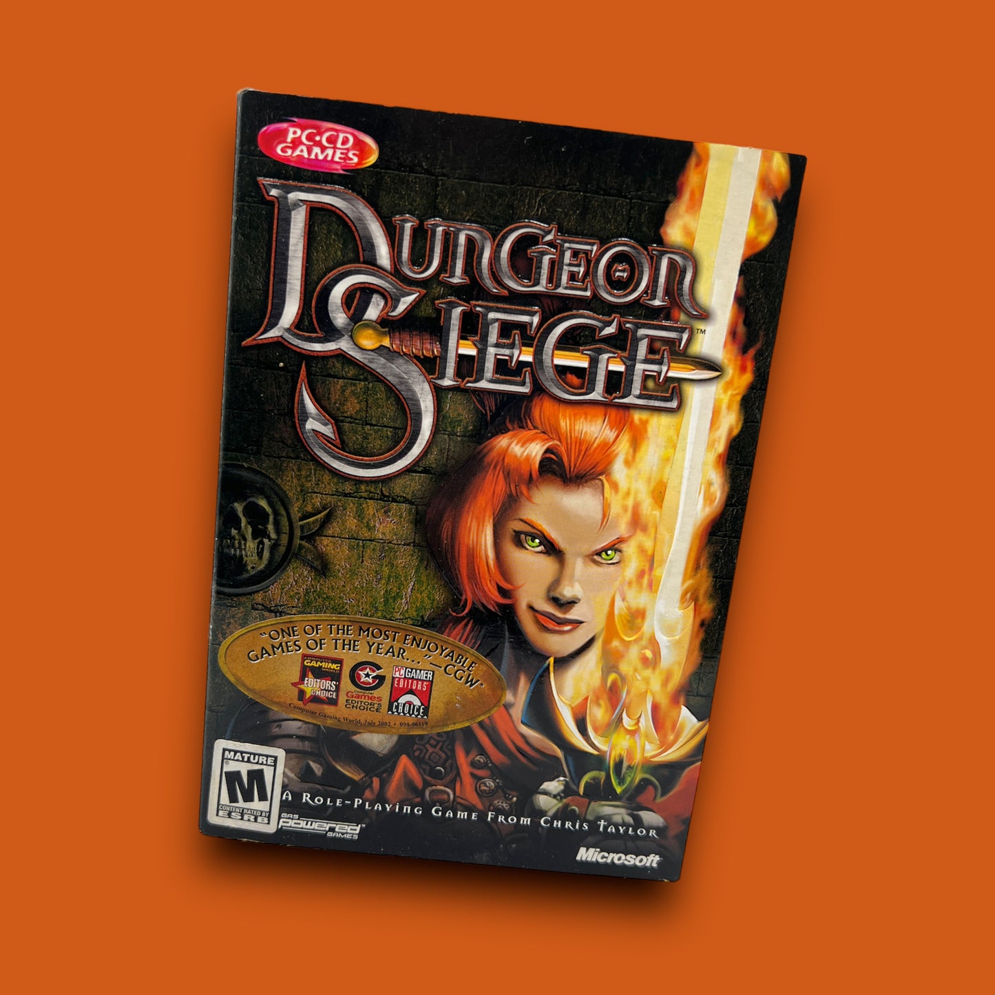 Dungeon Siege (Microsoft Windows, 2002)